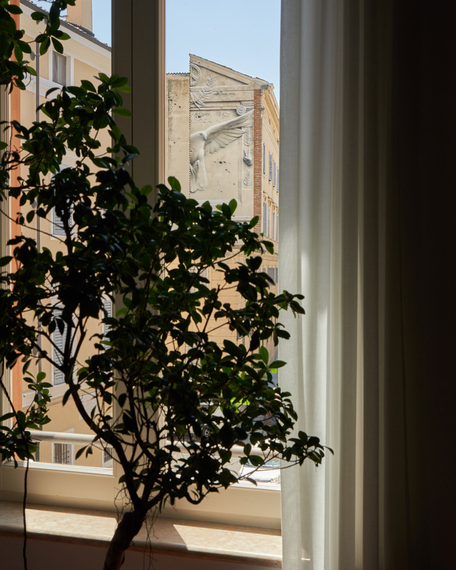 avvocati-rua-muro_2138e