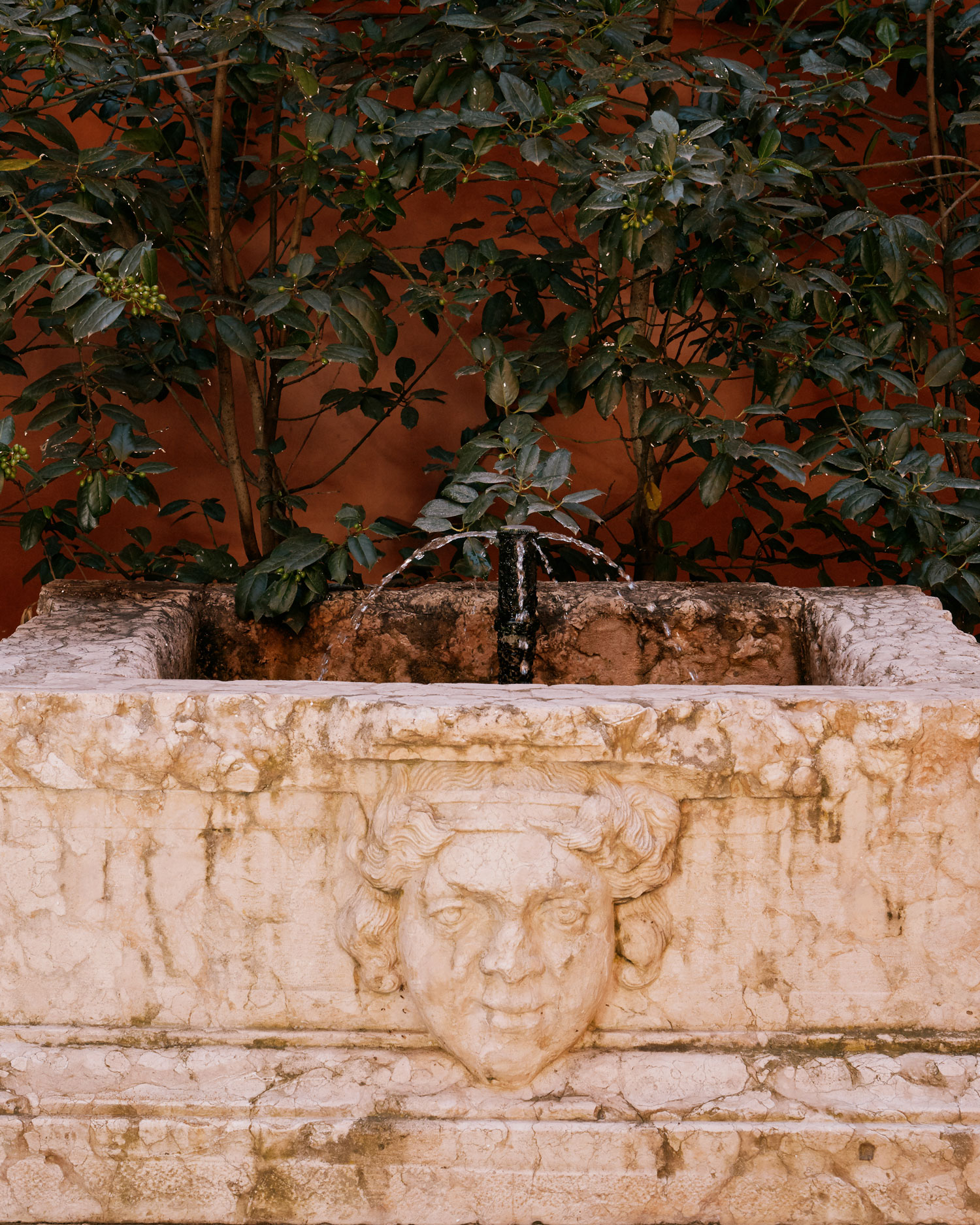 Migliore Studio Legale Modena Avvocati Rua Muro Avvocato Modena civilista penalista divorzista diritto penale civile Arte Emilia Romagna Reggio Emilia Bologna Carpi Mirandola